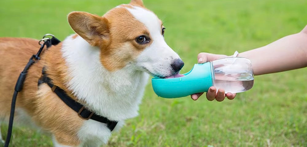 Gourde portable pour Chien et Chat